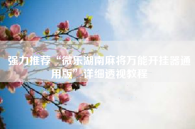 强力推荐“微乐湖南麻将万能开挂器通用版”详细透视教程