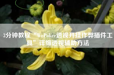3分钟教程“WePoker透视开挂作弊插件工具”详细透视辅助方法
