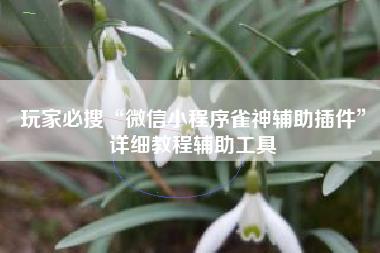 玩家必搜“微信小程序雀神辅助插件	”详细教程辅助工具