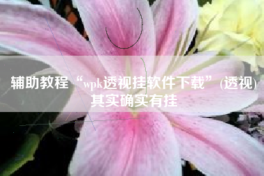 辅助教程“wpk透视挂软件下载	”(透视)其实确实有挂