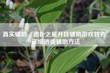 真实辅助“德扑之星开挂辅助游戏特色”详细透视辅助方法