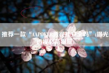 推荐一款“AAPOKER透视挂安全吗”(曝光透视必备猫腻)