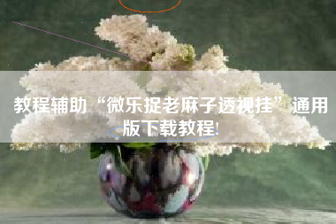 教程辅助“微乐捉老麻子透视挂	”通用版下载教程!