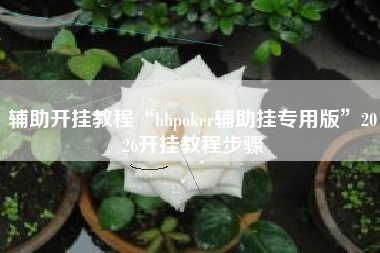 辅助开挂教程“hhpoker辅助挂专用版”2026开挂教程步骤
