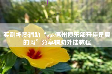 实测神器辅助“wpk德州俱乐部开挂是真的吗”分享辅助外挂教程