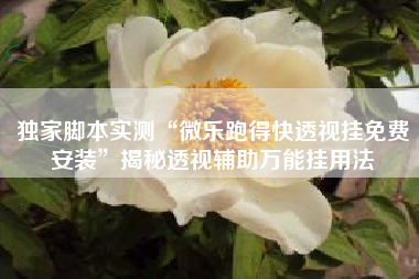 独家脚本实测“微乐跑得快透视挂免费安装”揭秘透视辅助万能挂用法