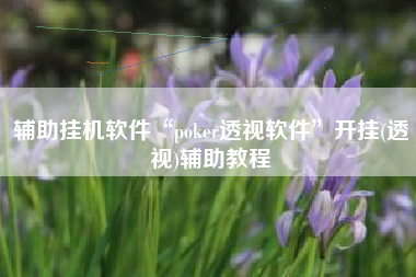辅助挂机软件“poker透视软件”开挂(透视)辅助教程