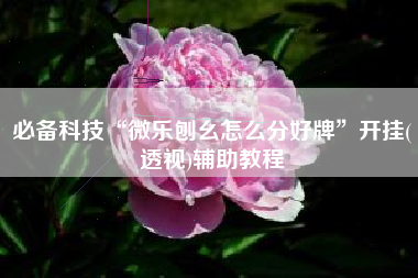 必备科技“微乐刨幺怎么分好牌”开挂(透视)辅助教程