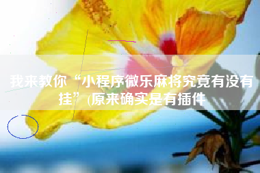 我来教你“小程序微乐麻将究竟有没有挂”(原来确实是有插件