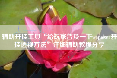 辅助开挂工具“给玩家普及一下wepoker开挂透视方法	”详细辅助教程分享