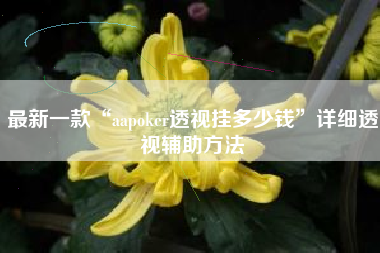 最新一款“aapoker透视挂多少钱”详细透视辅助方法