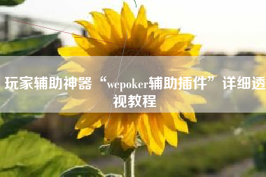 玩家辅助神器“wepoker辅助插件”详细透视教程
