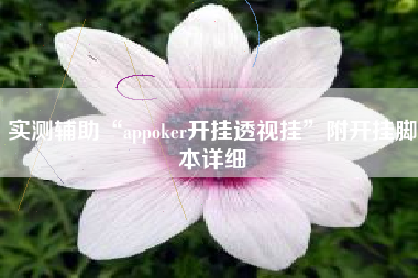 实测辅助“appoker开挂透视挂”附开挂脚本详细