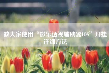 教大家使用“微乐透视辅助器IOS	”开挂详细方法