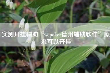 实测开挂辅助“wepoker德州辅助软件”原来可以开挂