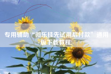 专用辅助“微乐挂先试用后付款	”通用版下载教程!