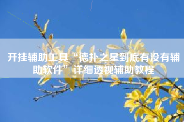 开挂辅助工具“德扑之星到底有没有辅助软件”详细透视辅助教程