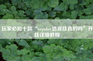 玩家必知十款“wepoker透视挂真的吗”开挂详细教程