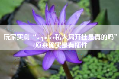 玩家实测“wepoker私人局开挂是真的吗	”(原来确实是有插件