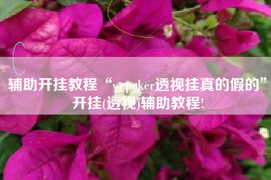 辅助开挂教程“wepoker透视挂真的假的”开挂(透视)辅助教程!