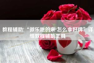 教程辅助!“微乐跑的来 怎么拿好牌”详细教程辅助工具