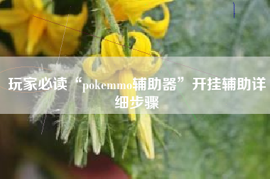 玩家必读“pokemmo辅助器”开挂辅助详细步骤