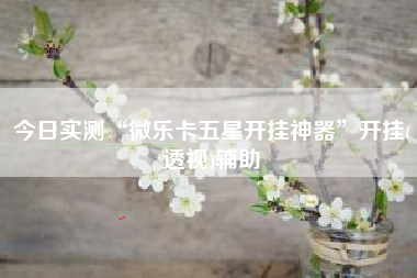 今日实测“微乐卡五星开挂神器	”开挂(透视)辅助