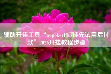 辅助开挂工具“wepokerPlus挂先试用后付款	”2026开挂教程步骤