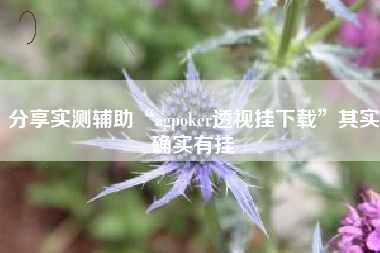 分享实测辅助“agpoker透视挂下载”其实确实有挂