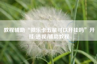 教程辅助“微乐卡五星可以开挂吗”开挂(透视)辅助教程