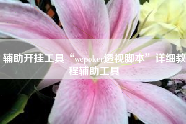 辅助开挂工具“wepoker透视脚本”详细教程辅助工具