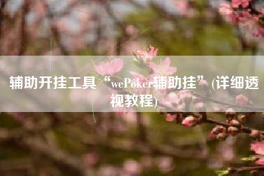 辅助开挂工具“wePoker辅助挂”(详细透视教程)
