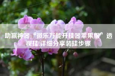 助赢神器“微乐万能开挂器苹果版	”透视挂!详细分享装挂步骤