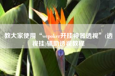 教大家使用“wepoker开挂神器透视	”(透视挂)辅助透视教程