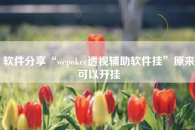 软件分享“wepoker透视辅助软件挂”原来可以开挂