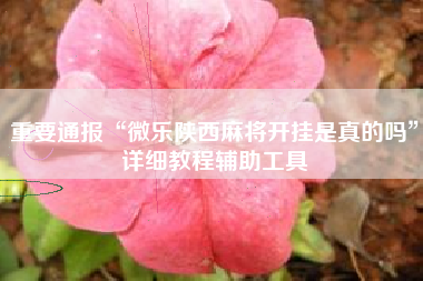 重要通报“微乐陕西麻将开挂是真的吗”详细教程辅助工具