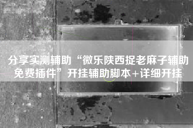 分享实测辅助“微乐陕西捉老麻子辅助免费插件	”开挂辅助脚本+详细开挂