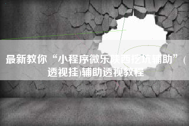 最新教你“小程序微乐陕西挖坑辅助	”(透视挂)辅助透视教程