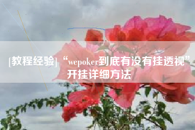 [教程经验]“wepoker到底有没有挂透视	”开挂详细方法