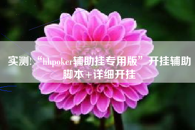 实测!“hhpoker辅助挂专用版”开挂辅助脚本+详细开挂