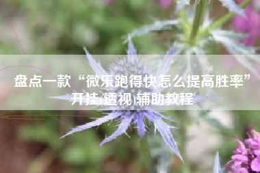 盘点一款“微乐跑得快怎么提高胜率”开挂(透视)辅助教程