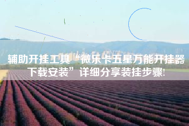 辅助开挂工具“微乐卡五星万能开挂器下载安装	”详细分享装挂步骤!