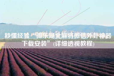 秒懂经验“微乐湖北麻将微信外卦神器下载安装”(详细透视教程)