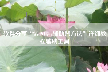 软件分享“WePOKer辅助器方法	”详细教程辅助工具