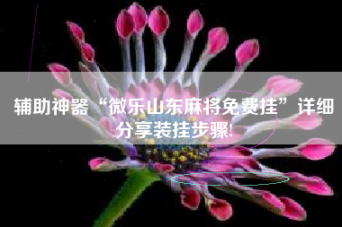 辅助神器“微乐山东麻将免费挂	”详细分享装挂步骤!