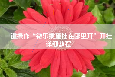 一键操作“微乐掼蛋挂在哪里开	”开挂详细教程