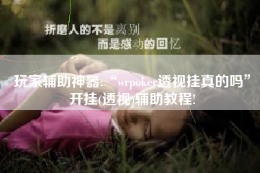 玩家辅助神器:“wrpoker透视挂真的吗”开挂(透视)辅助教程!