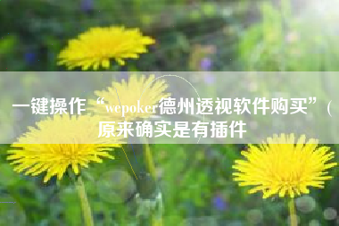 一键操作“wepoker德州透视软件购买”(原来确实是有插件