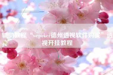 辅助教程“wepoker德州透视软件购买”透视开挂教程