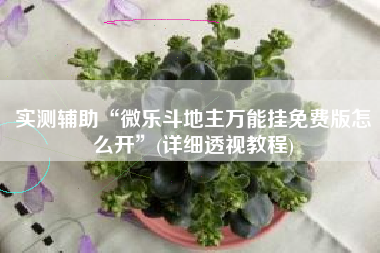 实测辅助“微乐斗地主万能挂免费版怎么开”(详细透视教程)